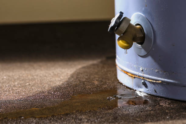 Best Emergency water extraction  in Central Park, WA