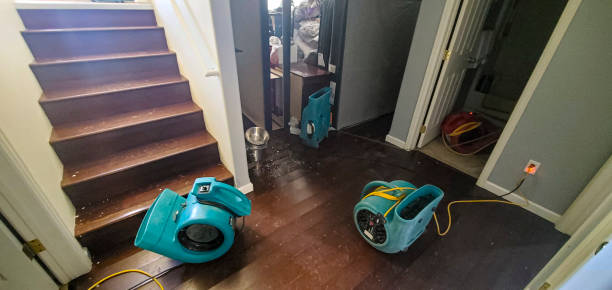 Best Water damage restoration near me  in Central Park, WA