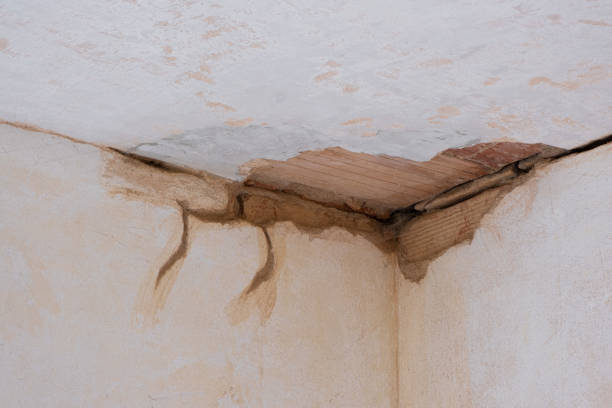 Reliable Central Park, WA Water damage restoration Solutions