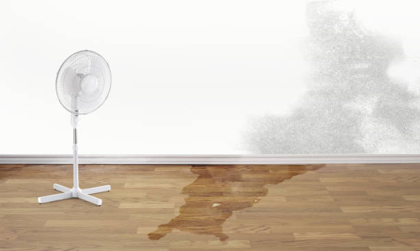 Best 24-hour water damage restoration  in Central Park, WA